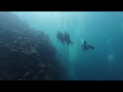 Traje de buceo de punto La elección ideal para aventuras y exploraciones en aguas frías
