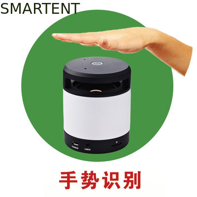 Comprar Reconocimiento Bluetooth del gesto que camina el cilindro recargable de los Presidentes de Bluetooth del Presidente Fabricación en línea