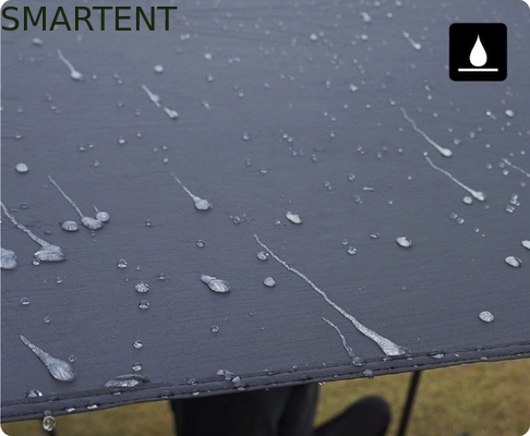 530*390CM Negro 420D Ripstop Poliéster Tesla Camping Tenda de auto ligero Canopy de la lluvia Pared lateral para el modelo Y&amp;3 proveedor