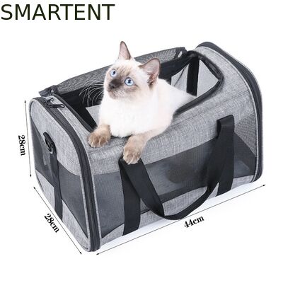 Comprar Grandes y lindos suministros para mascotas Unisex Equipo para exteriores en interiores para mascotas activas Con cómodos collares Correa y soportes Fabricación en línea