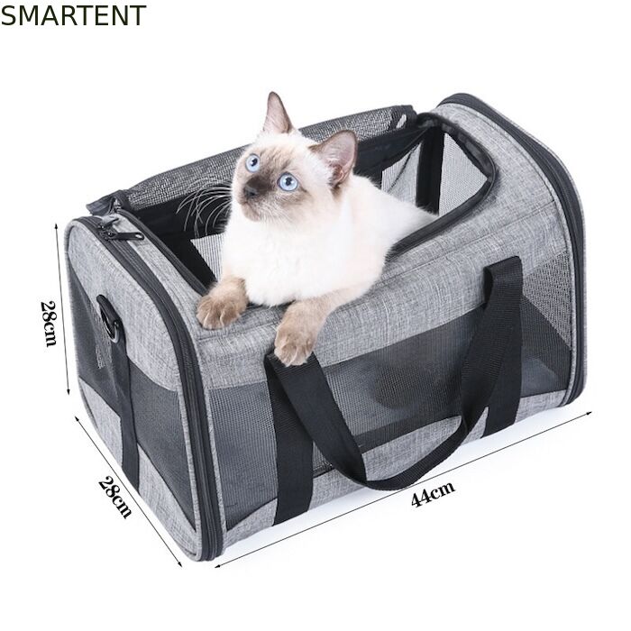 Large Cute Pet Supplies Unisex Indoor Outdoor Gear for Active Pets Featuring Comfortable Collars Leashes and Carriers proveedor